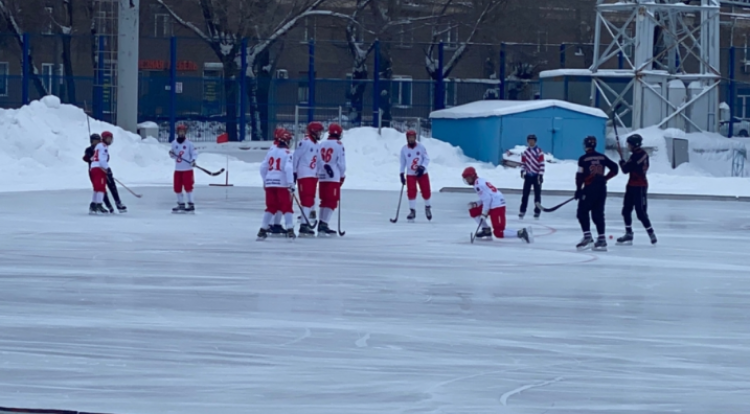 Хоккей с мячом - Новосибирск 2006-2007 предварительный - фото2