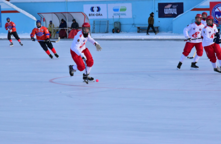 Хоккей с мячом - Новосибирск 2006-2007 предварительный - фото4