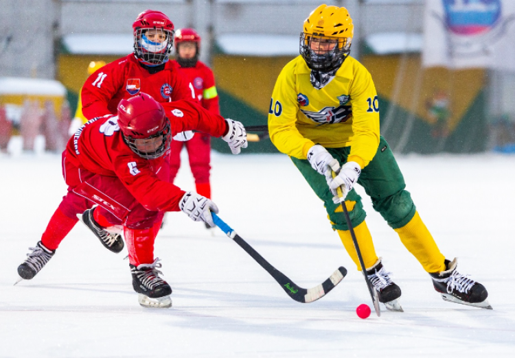 Хоккей с мячом - Плетеный мяч 2024 - фото1