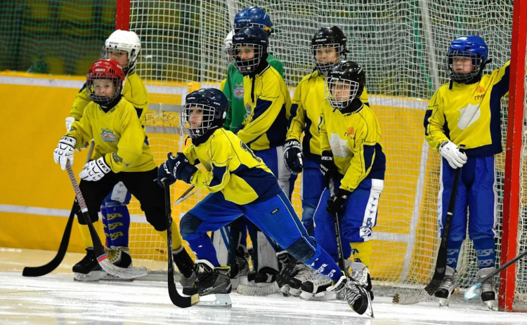 Хоккей с мячом - Ульяновск 2008-2009 гр - анонс-фото3