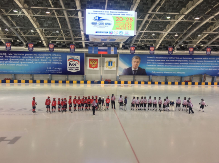 Хоккей с мячом - Ульяновск 2008-2009 гр - фото1