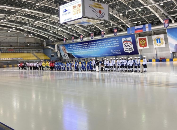 Хоккей с мячом - Ульяновск 2008-2009 гр - фото4