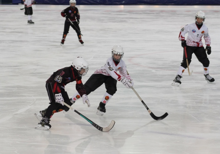 Хоккей с мячом - юноши 2007-2008 гр - фото-заставка1