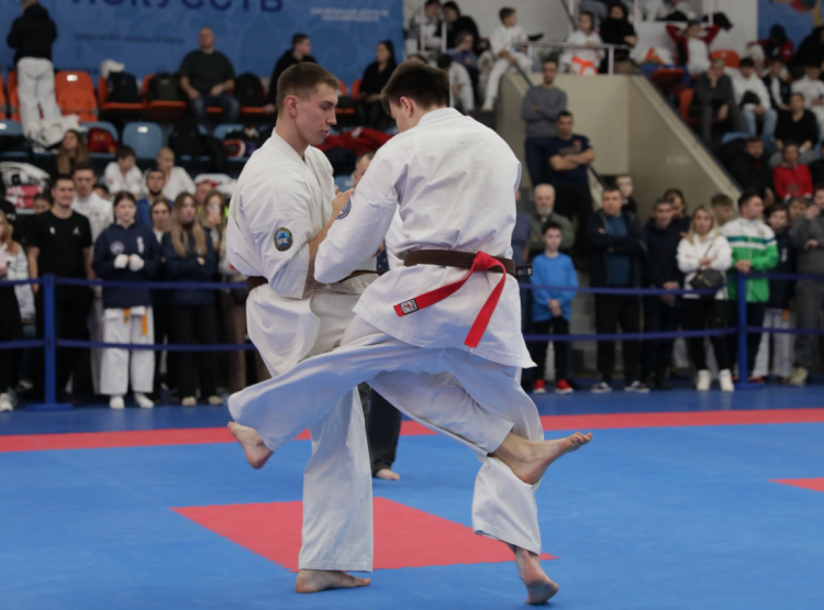 Киокусинкай - Moscow Open 2024 - фото3