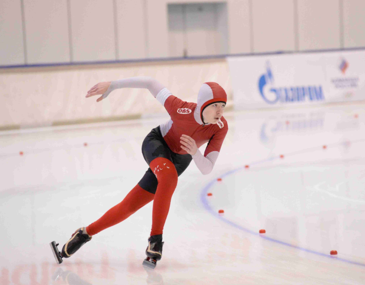 Коньки - Коломна Серебряные коньки - фото1