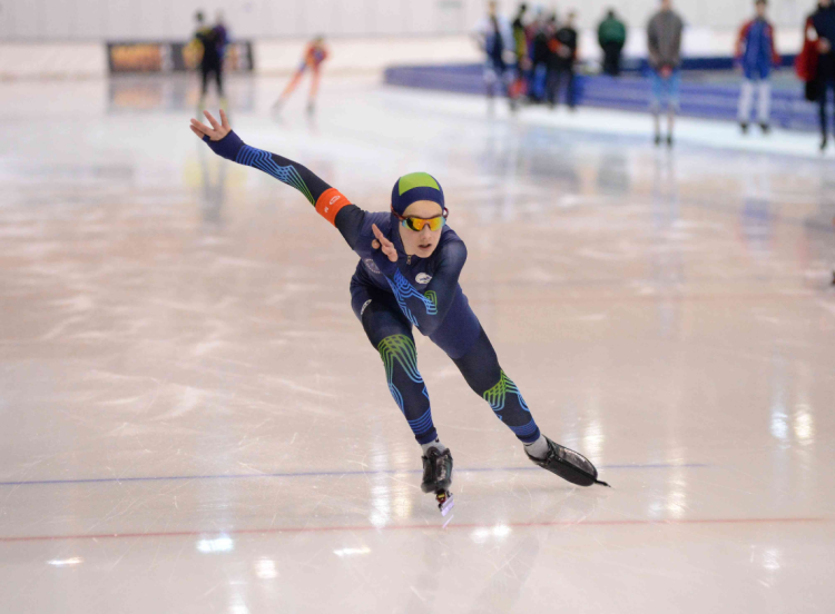 Коньки - Коломна Серебряные коньки - фото12