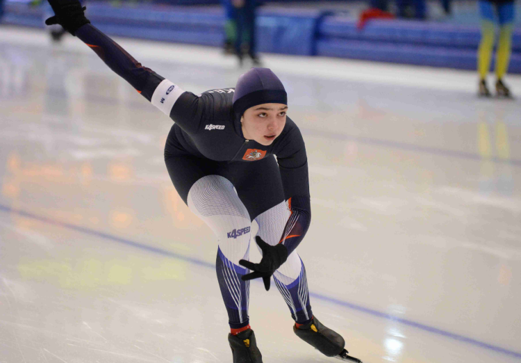 Коньки - Коломна Серебряные коньки - фото2