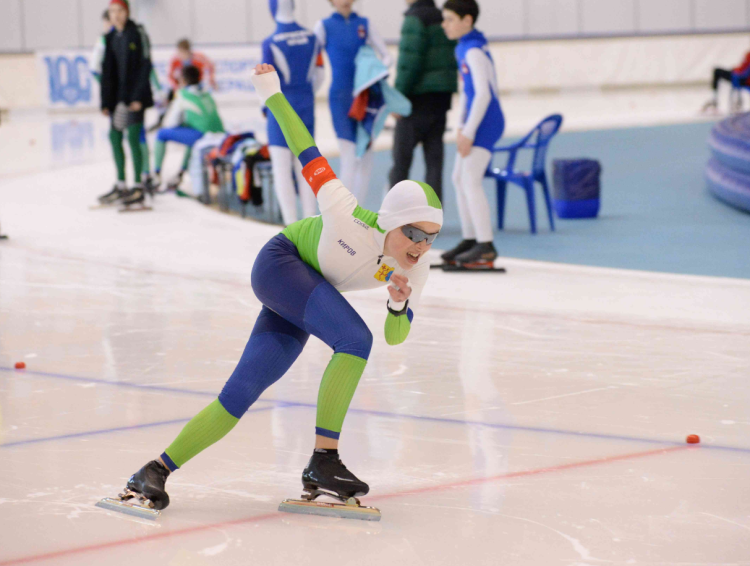 Коньки - Коломна Серебряные коньки - фото4