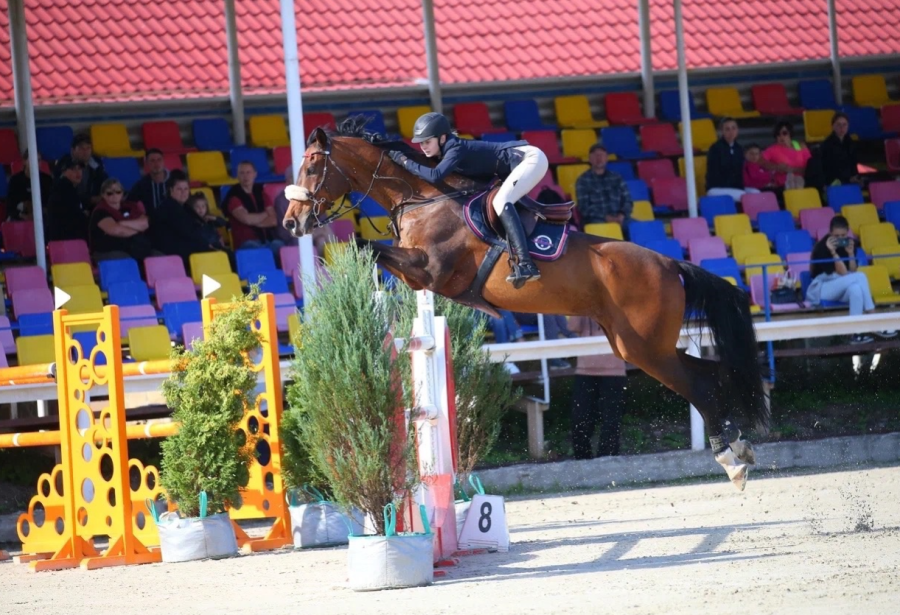 Конный спорт - Конаково конкур и троеборье - фото8