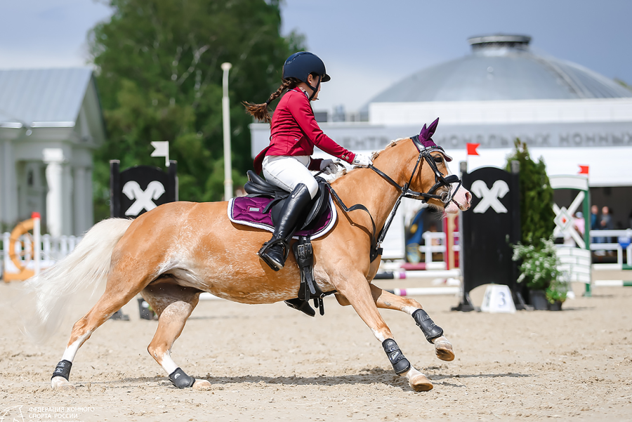 Конный спорт - конкур на пони - ВДНХ - фото2