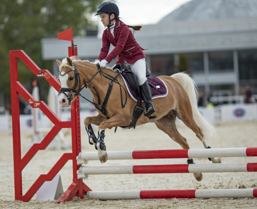 Конный спорт - конкур на пони - ВДНХ - фото4