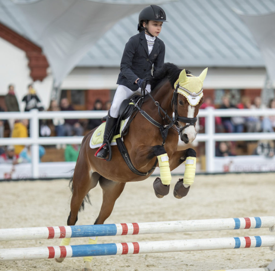 Конный спорт - конкур на пони - ВДНХ - фото5