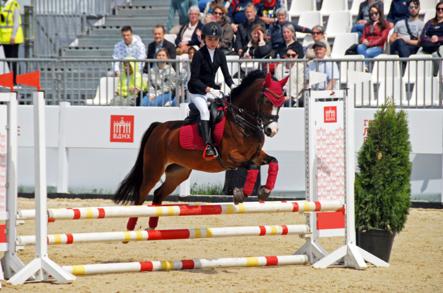 Конный спорт - конкур на пони - ВДНХ - фото6