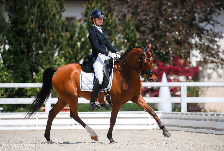 Конный спорт - Отрада 2024 пони - фото2