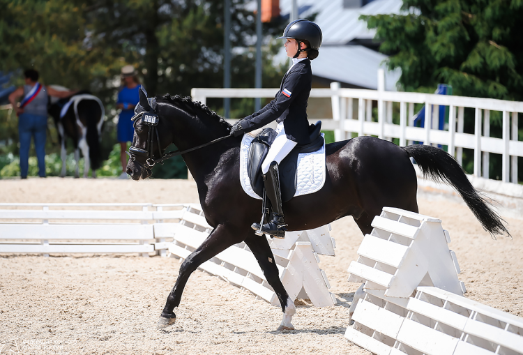 Конный спорт - Отрада 2024 пони - фото3