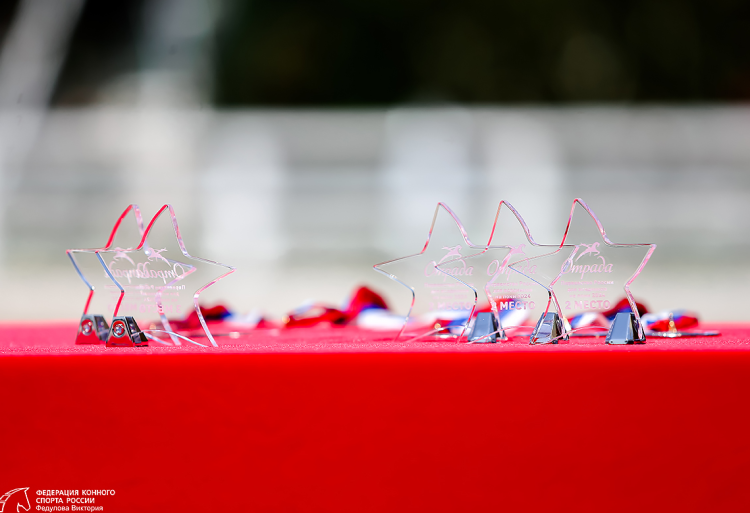 Конный спорт - Отрада 2024 пони - фото4