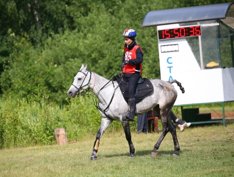 Конный спорт - пробеги КСК Отрада - фото1