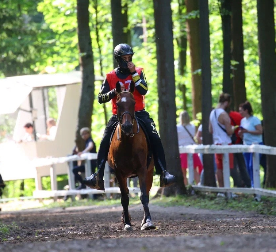 Конный спорт - пробеги КСК Отрада - фото2