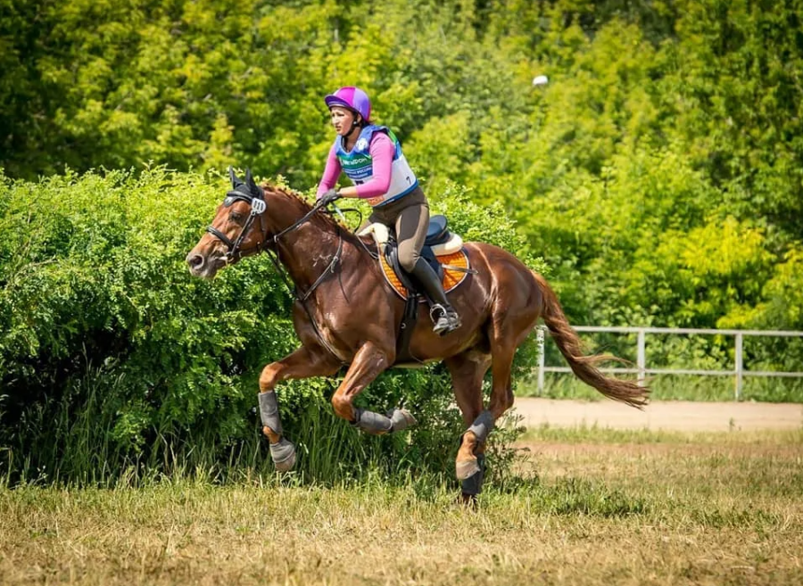 Конный спорт - пробеги КСК Отрада - фото5