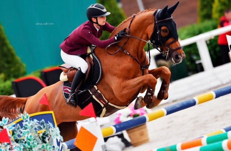 Конный спорт - Таганрог 2024 Golden Horse - конкур - фото1