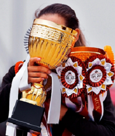 Конный спорт - Таганрог 2024 Golden Horse - конкур - фото2