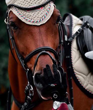 Конный спорт - Таганрог 2024 Golden Horse - конкур - фото3