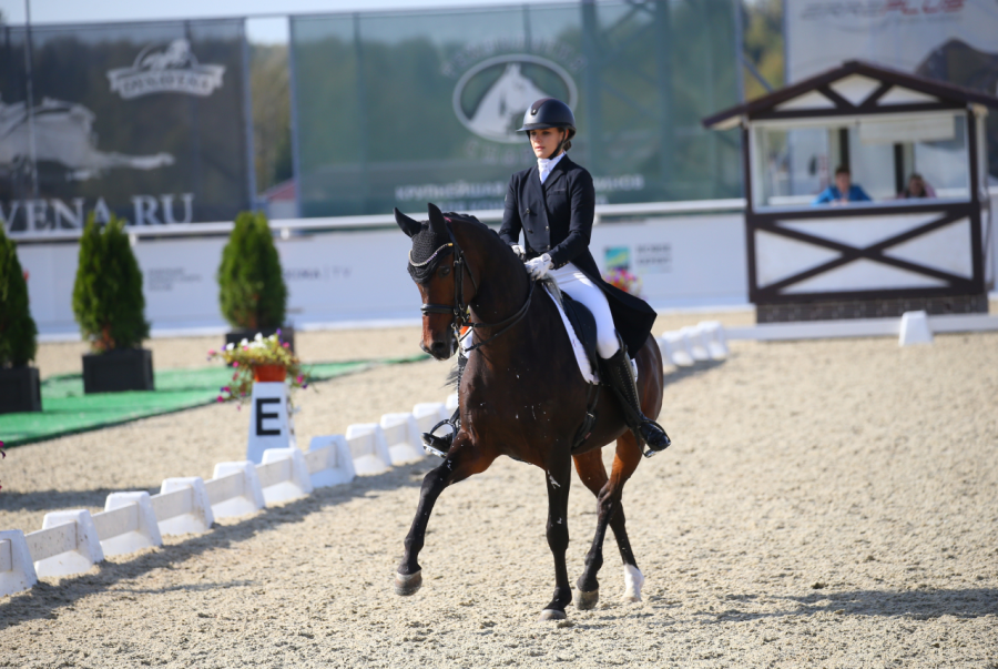 Конный спорт - выездка Maxima Park - фото1