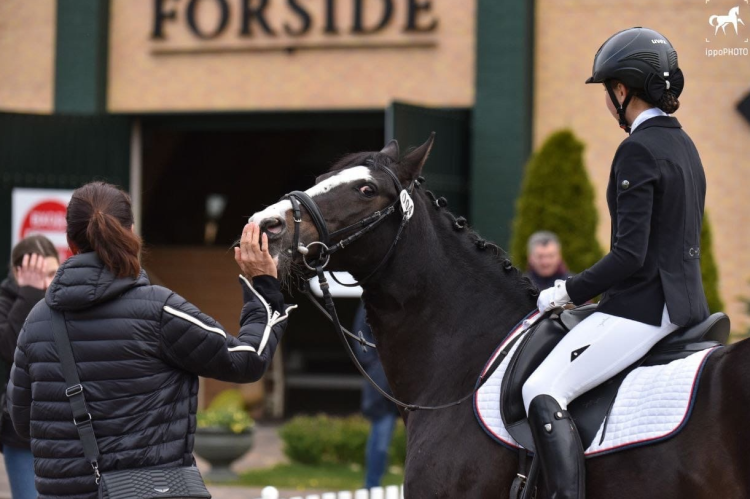 Конный спорт - выездка пони СПб - фото2