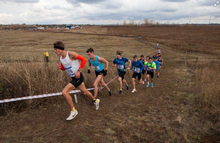 Легкая атлетика - Оренбург кросс - фото1