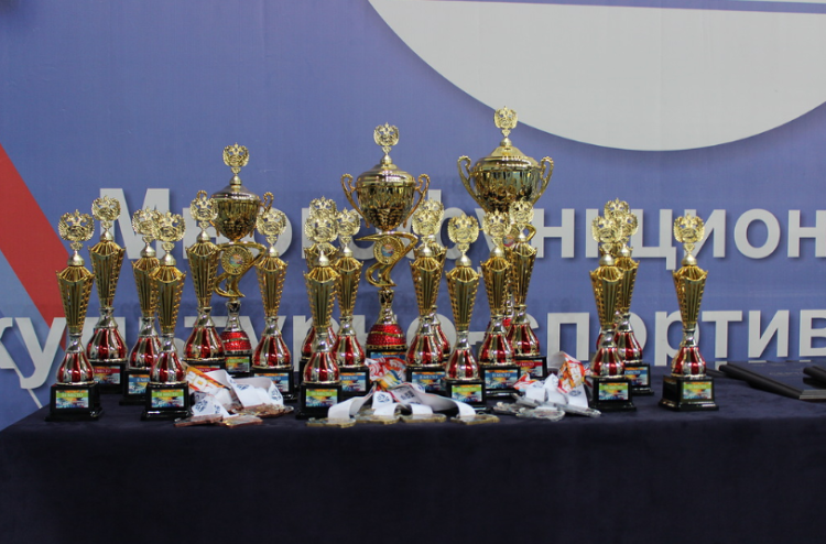 Летняя Спартакиада учащихся - айкидо - Раменское - фото3