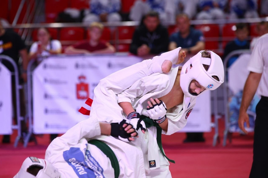 Летняя Спартакиада учащихся - киокушин 2024 Пермь - фото11