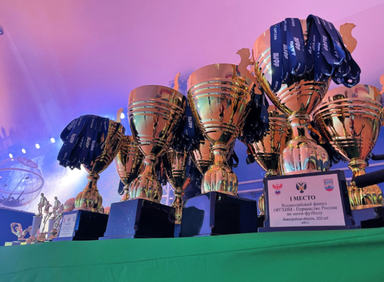 Мини-футбол - Нижегородская - фото9