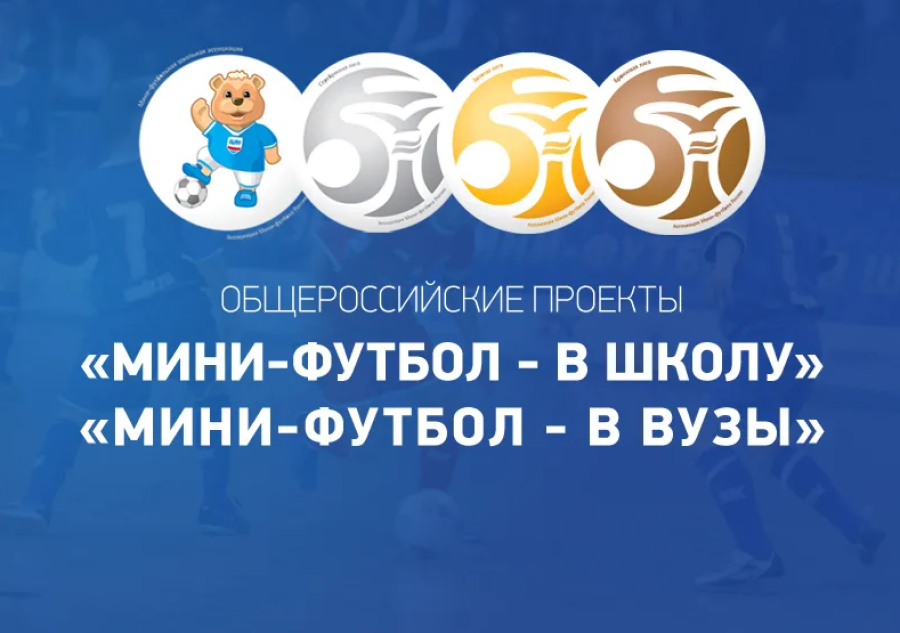 Мини-футбол в вузы и в школу - лого