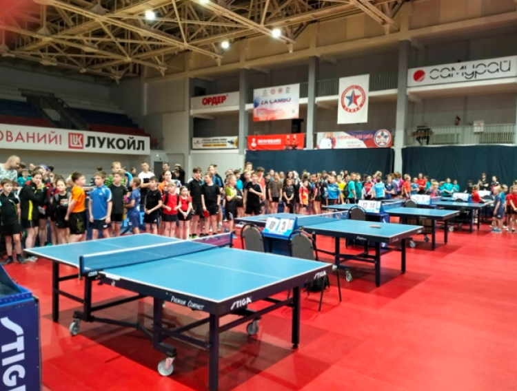 Настольный теннис - Кстово до 13 лет до 16 лет - фото2