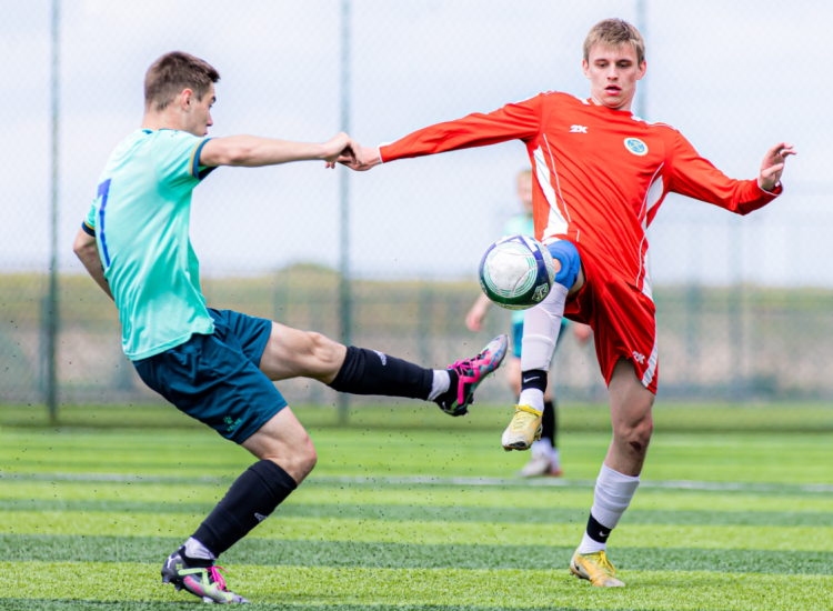 НСФЛ - группа В2 2024 - фото1