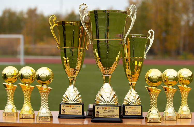 НСФЛ - Общероссийский дивизион - 6-й полуфинал - фото14