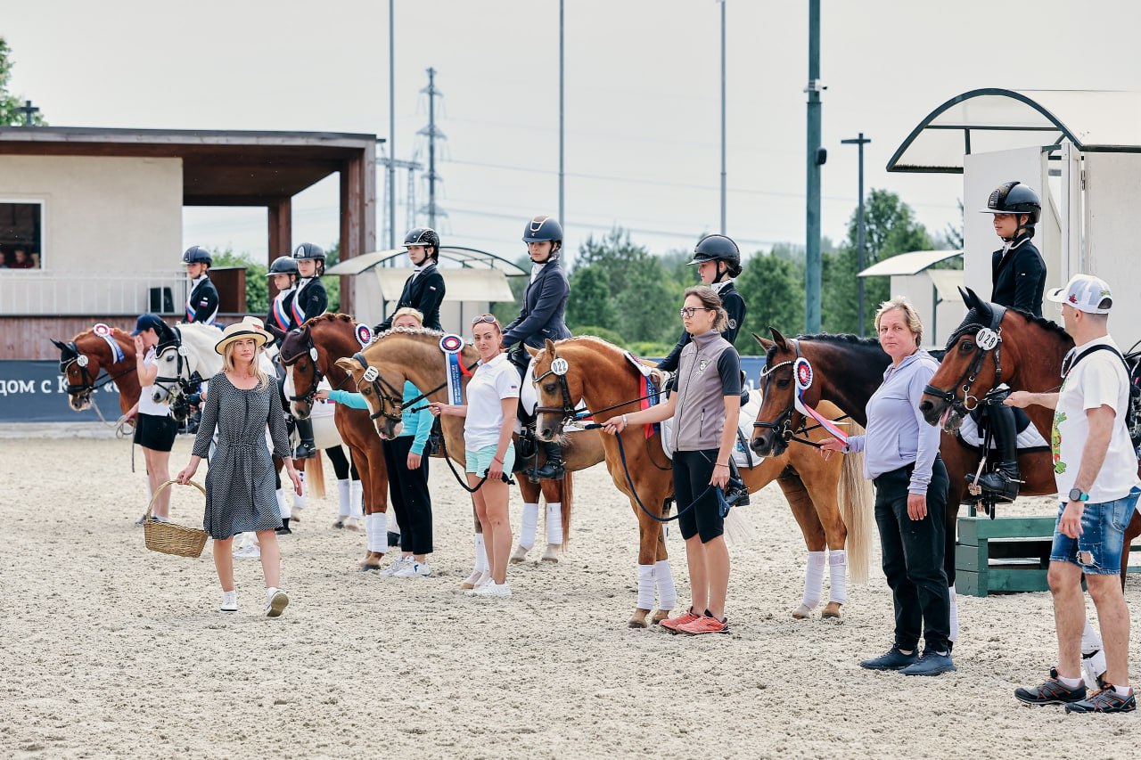 Конный спорт