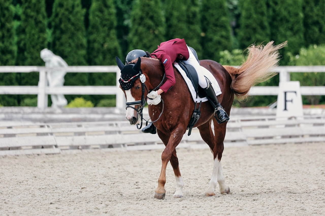 Конный спорт