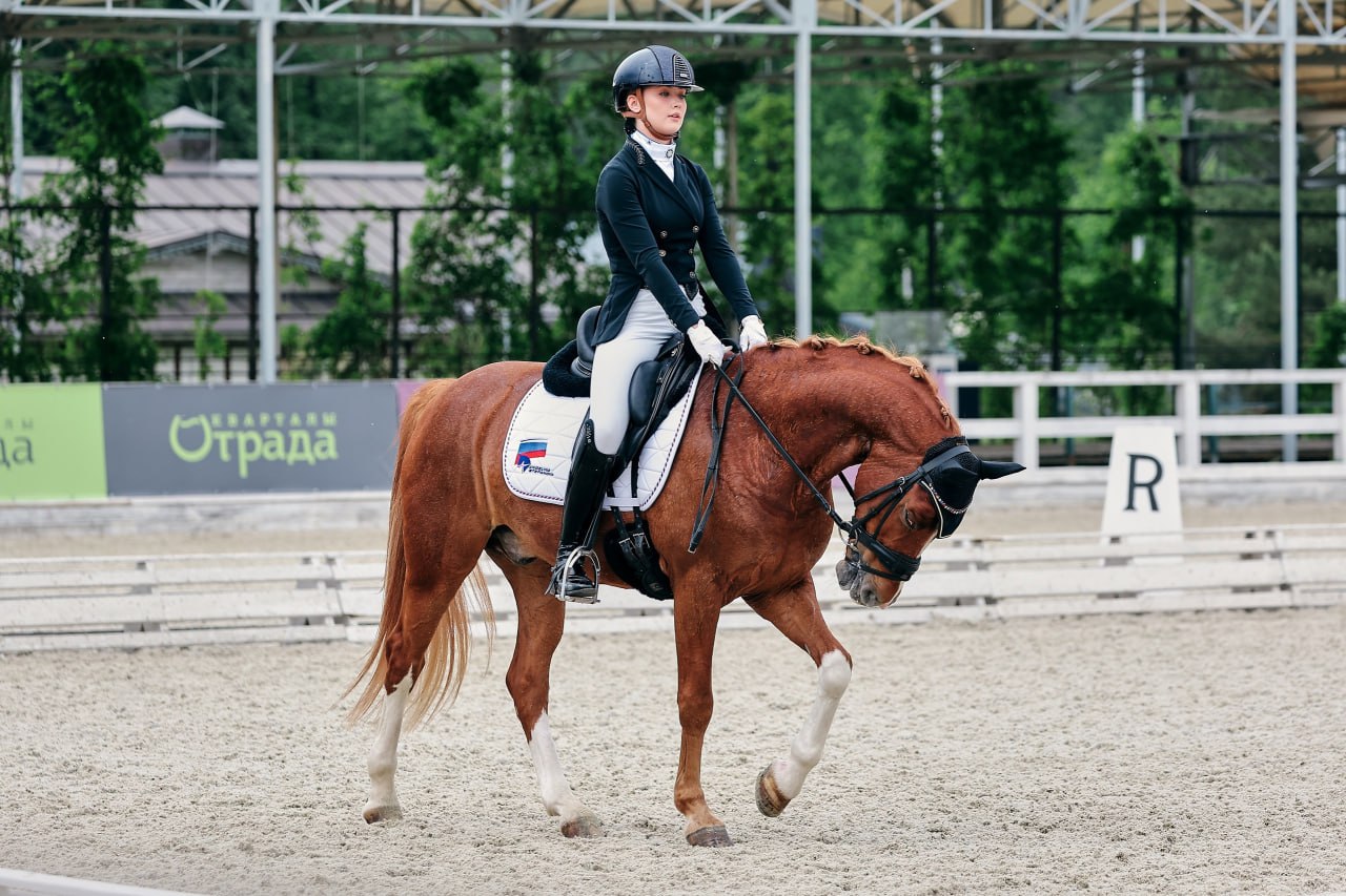 Конный спорт