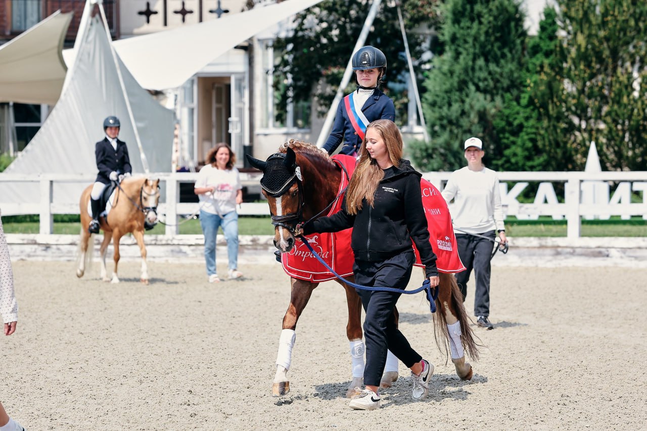 Конный спорт