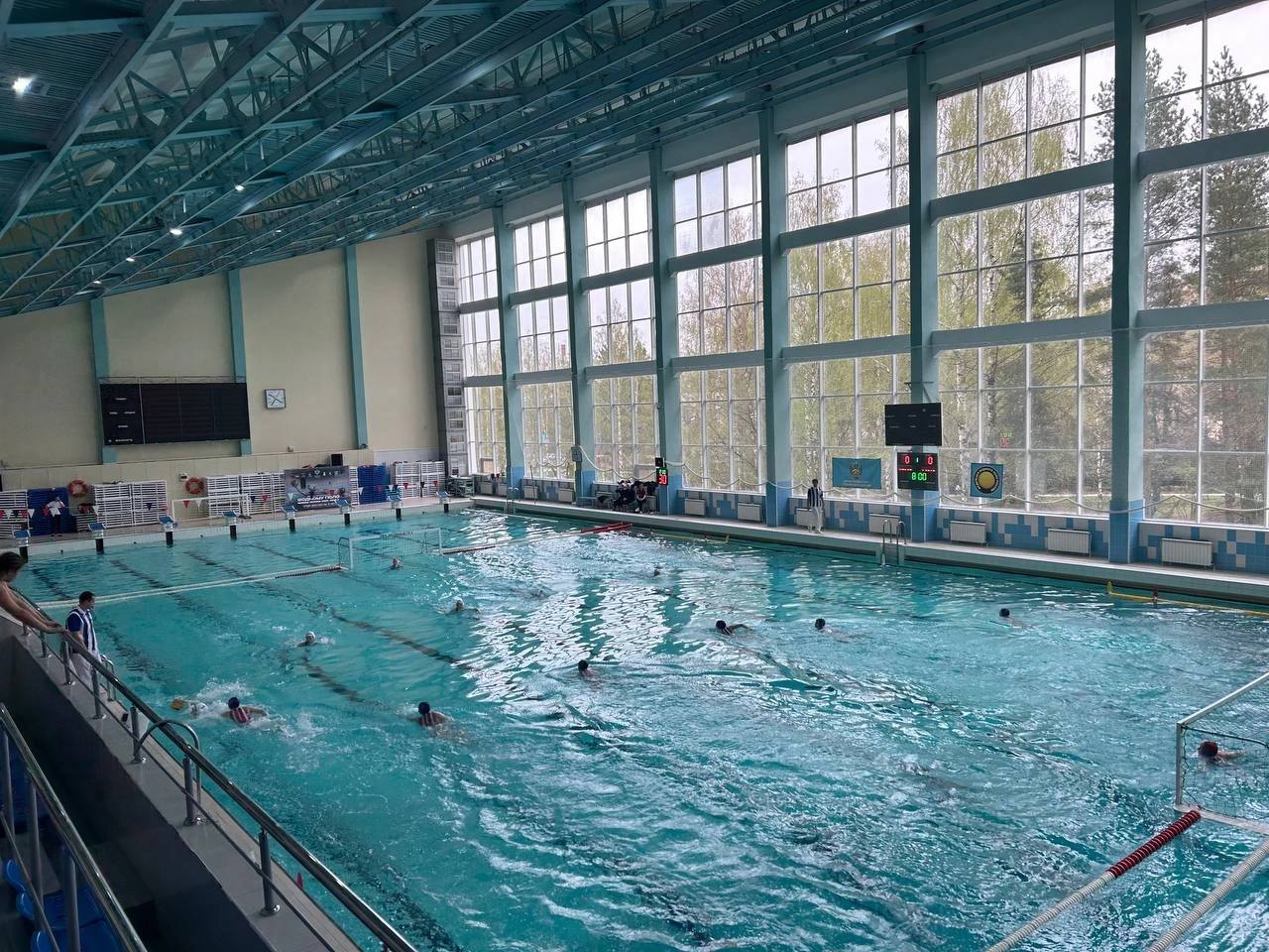 Водное поло