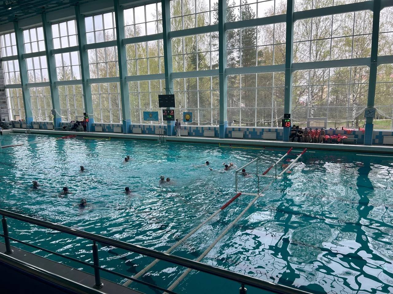 Водное поло