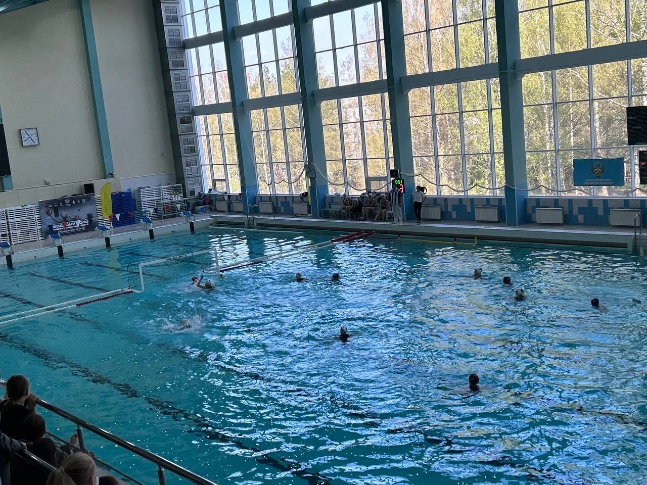 Водное поло