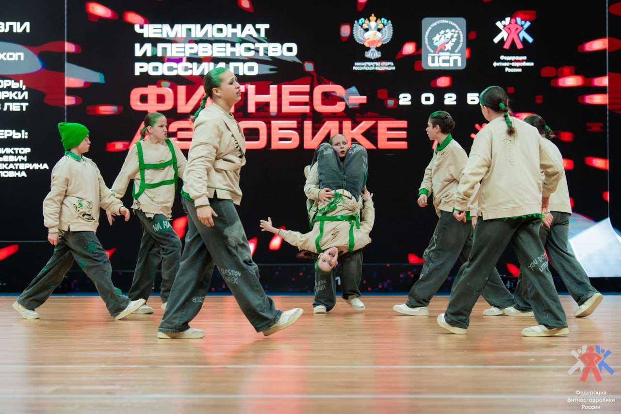 Фитнес-аэробика