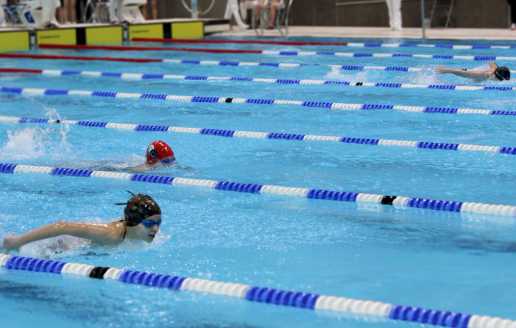 Плавание - Иркутск - Кубок Сибири 2023 - анонс-фото2