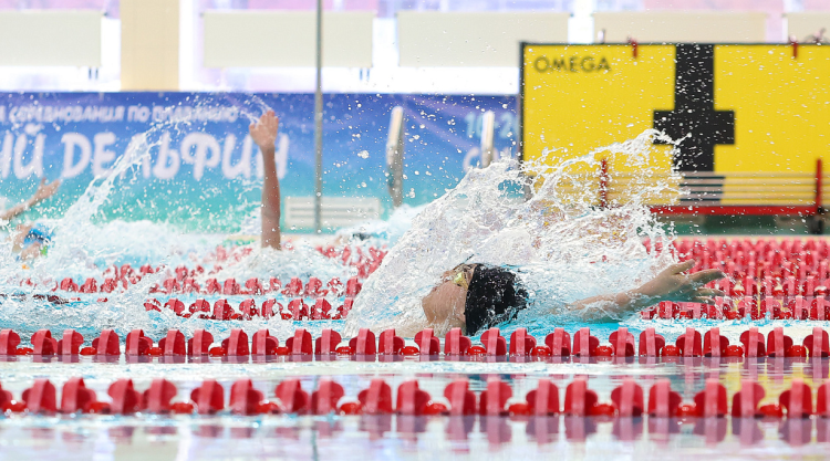 Плавание - СПб 2024 Веселый дельфин - анонс-фото1