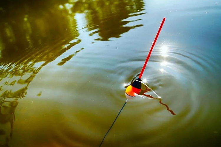 Рыболовный спорт - Нижний Новгород - ловля поплавочной удочкой 11-18 лет - анонс-фото4