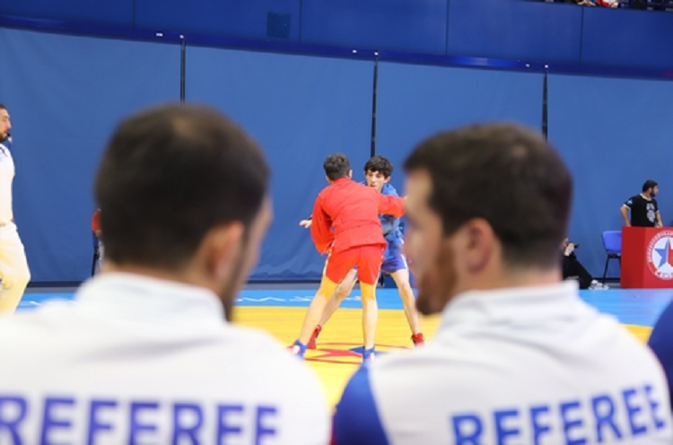 Самбо - Кемерово 14-16 лет - фото2