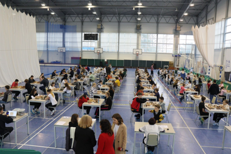 Шахматы - Евпатория - Процветание в единстве - фото2