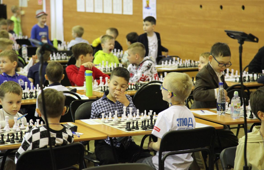 Шахматы - Кострома до 9 лет - фото7